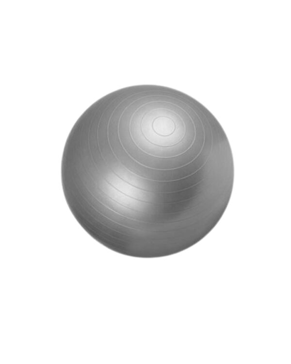 Swiss Gym Ball