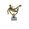 Trophée Meilleur Joueur / Buteur