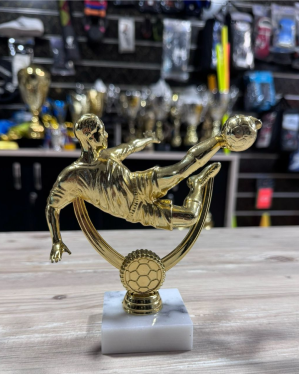 Trophée Meilleur Joueur / Buteur