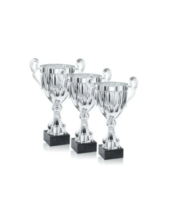 Lot de 3 Trophées de très grande taille en Argent