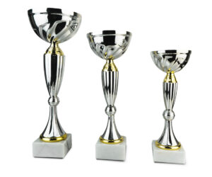 lot_de_3_trophees_argent_es_grand_moyen_petit_coupes_economiques_gold Lot de 3 Trophées Grand, Moyen & Petit Coupes